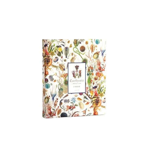 A'MMARE Roll - On Kit