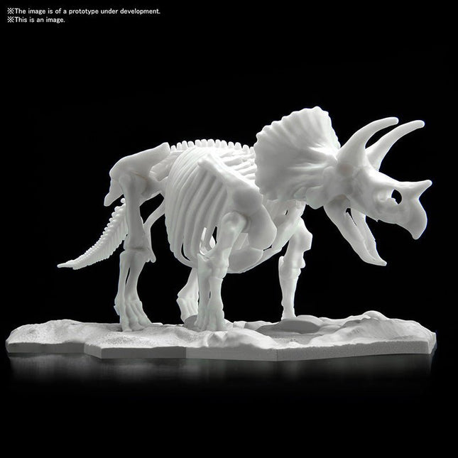 BANDAI DINOSAUR LIMEX SKELETON TRICERATOPS 16cm