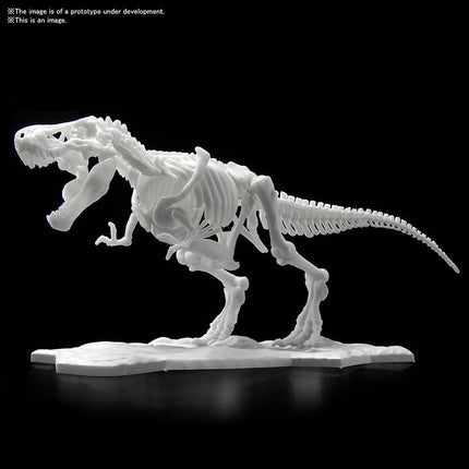 BANDAI DINOSAUR LIMEX SKELETON TYRANNOSAURUS 21cm