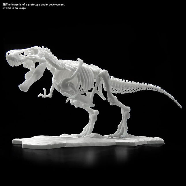 BANDAI DINOSAUR LIMEX SKELETON TYRANNOSAURUS 21cm