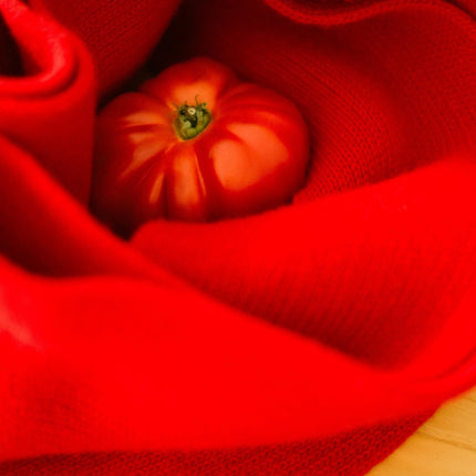 Cashmere Mix Fringed Scarf