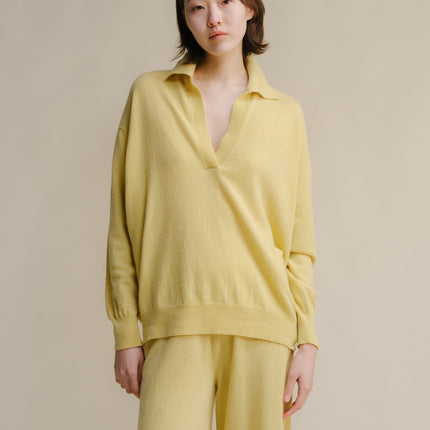 Cashmere Mix Polo Knit