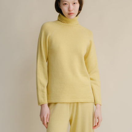 Cashmere Mix Turtleneck Sweater (3D - Knit)