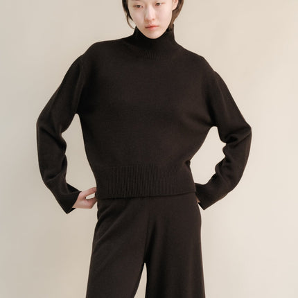 Cashmere Mix Turtleneck Sweater