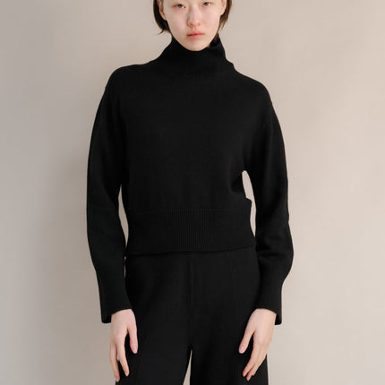 Cashmere Mix Turtleneck Sweater