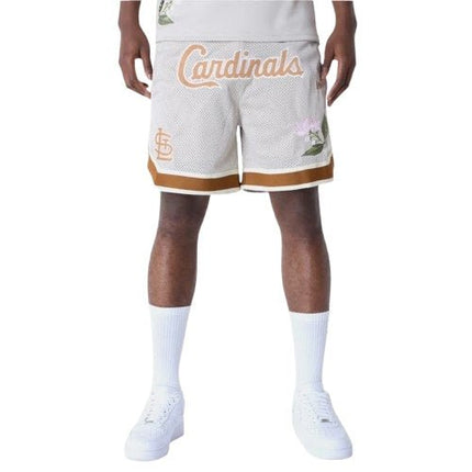 Completo New Era x St. Louis Cardinals MLB