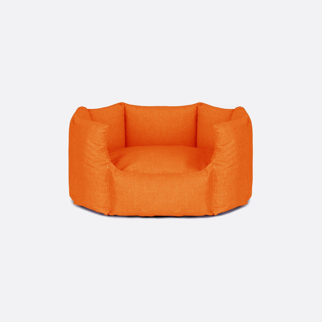 Conchiglia | Arancione