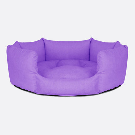 Conchiglia | Glicine