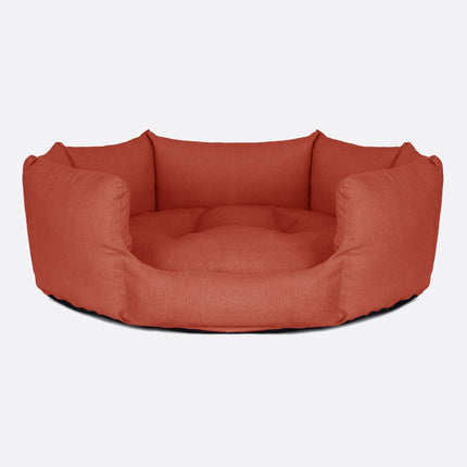 Conchiglia | Ruggine