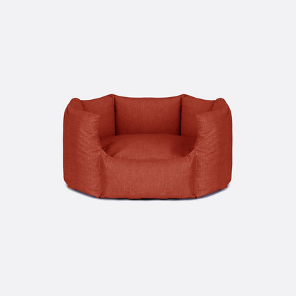 Conchiglia | Ruggine