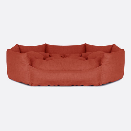 Conchiglia | Ruggine