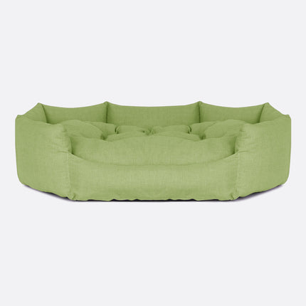 Conchiglia | Verde Chiaro