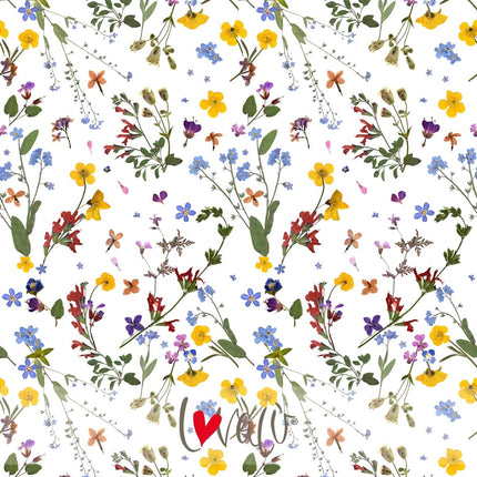 Dried Flowers Wallpaper - Herbolarium