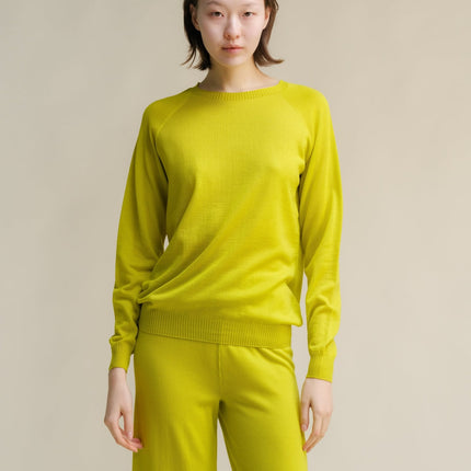 Extra Fine Merino Wool Crewneck Sweater (3D - Knit)