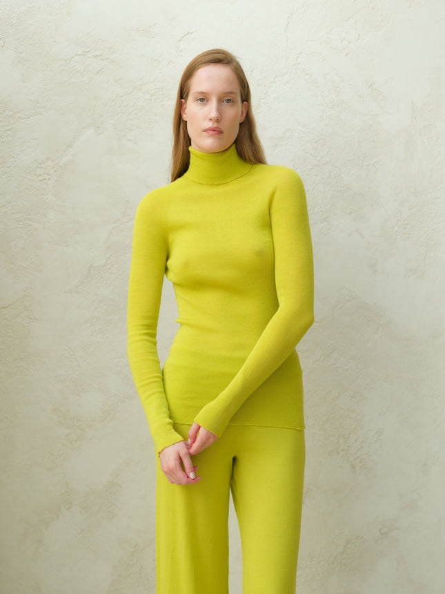 Extra Fine Merino Wool Ribbed Turtleneck (3D - Knit)