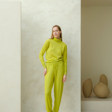 Extra Fine Merino Wool Turtleneck Sweater