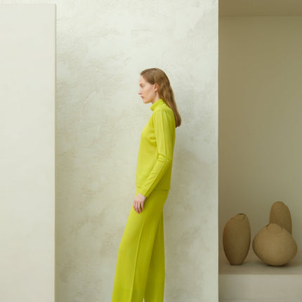 Extra Fine Merino Wool Turtleneck with Straight Sleeve