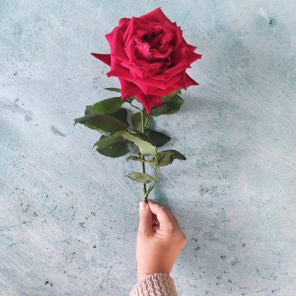 Fondale fotografico - Lov483