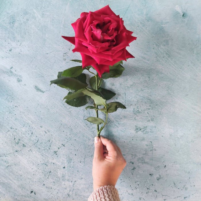 Fondale fotografico - Lov483