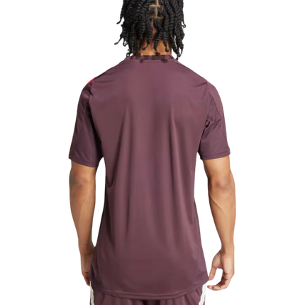 Completo Adidas x FC Bayern Monaco