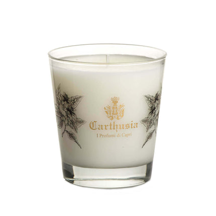 Mediterranean Oud Candela