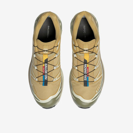 Scarpe XT - 6 GTX Antelope/Icicle/Portabella