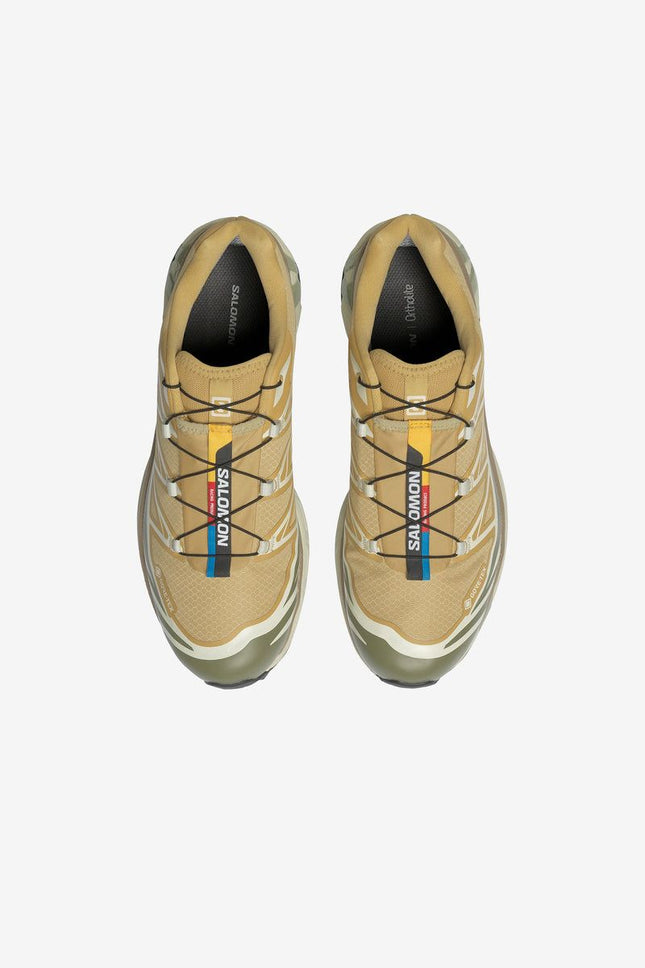 Scarpe XT - 6 GTX Antelope/Icicle/Portabella