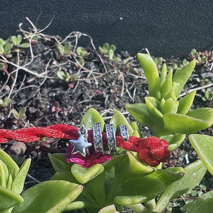 Ti regalo una STELLA