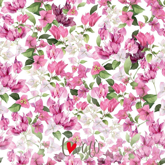 Wallpaper - Botanical bougainvillea PANAREA