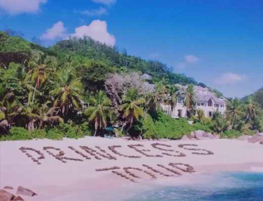 Agenzia Viaggi Princess Tour Srl