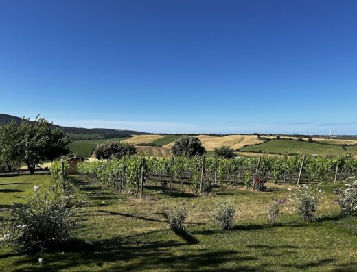 CRC Adventure asd Enduro Tour & School