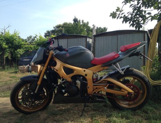 DamaMoto di Francesco Gioia