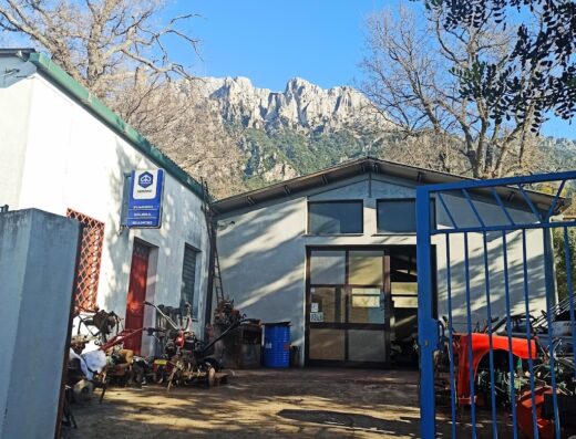 Floris Tonino Officina Autorizzata Piaggio