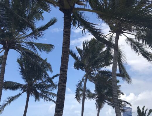 Global Travel Agency