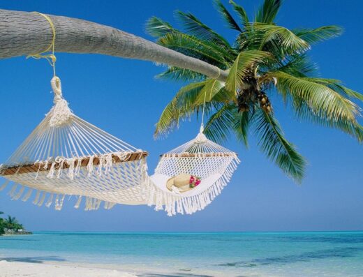 I VIAGGI DEL CARLINO