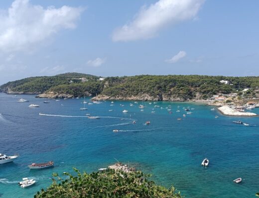 Travel & Book Elledierre Srl