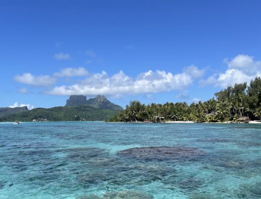 Wanderlust agenzia in viaggio di Pellegrini