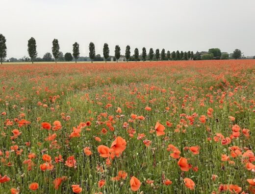 A Ruota Libera – Agriturismo Fattoria Didattica