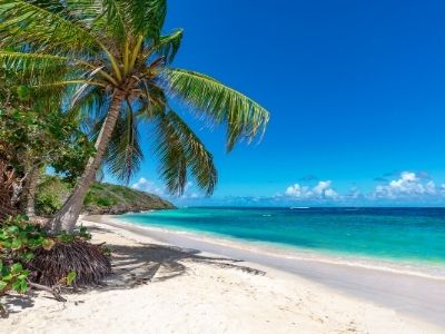 Spiaggia tropicale con sabbia bianca, palme e mare turchese, perfetta per una vacanza da sogno offerta da Arara Viaggi Reggio Emilia.