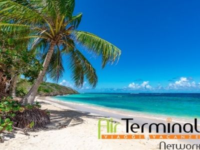 Agenzia di Viaggi Air Terminal Viaggi – Napoli