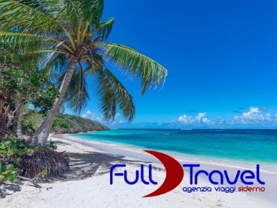 Spiaggia tropicale con palma e mare cristallino, logo di Full Travel agenzia viaggi Siderno, ideale per vacanze e viaggi esotici