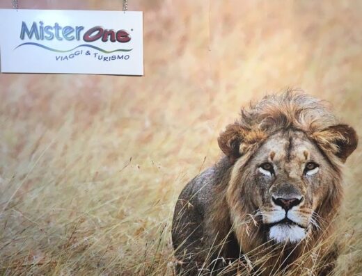 Agenzia Viaggi MisterOne