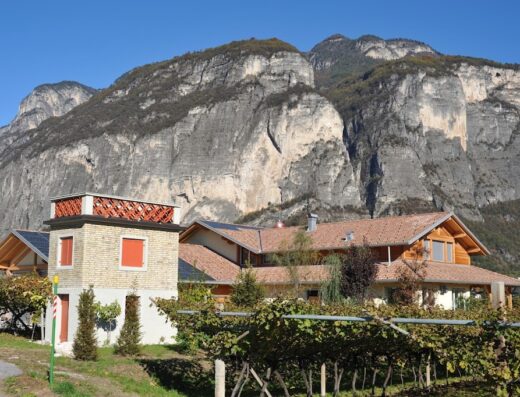 Agritur La Torretta: vista panoramica dell'agriturismo con vigneti rigogliosi e imponenti montagne sullo sfondo, un'oasi di tranquillità e bellezza naturale.