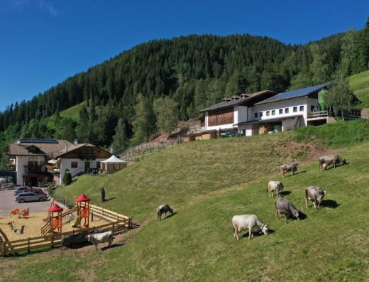 Agritur Maso Fior Di Bosco – VALFLORIANA – TRENTINO
