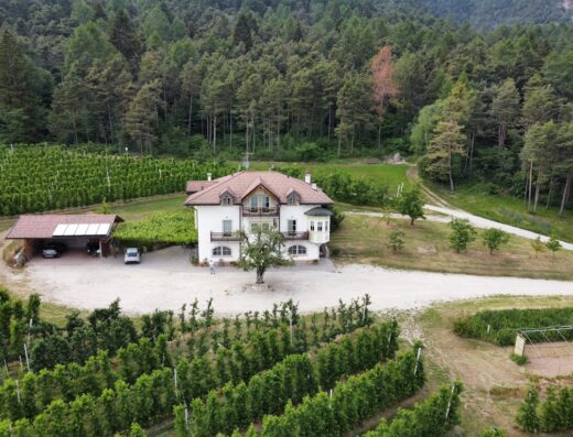 Agritur Maso Tafol vista dall'alto, circondato da vigneti e boschi, con parcheggio coperto e auto.