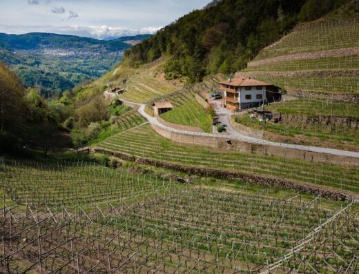 Agritur Maso Valfraja immerso nei vigneti terrazzati, con vista panoramica sulle montagne circostanti. Un'oasi di tranquillità nel cuore del Trentino.