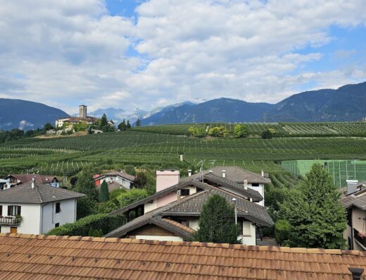 Vista panoramica dell'Agritur Renetta con tetti in terracotta, vigneti, case e montagne sullo sfondo in Trentino Alto Adige.