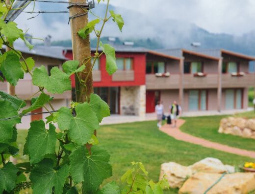 Agritur Verderame: Primo piano di foglie di vite con gocce di pioggia, sullo sfondo la struttura ricettiva e le montagne.