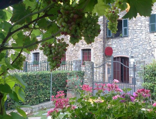 Grappoli d'uva matura pendono davanti all'Agriturismo A Veggia Vigna, con la sua facciata in pietra e il cancello in ferro battuto. Un'immagine che evoca la bellezza del turismo rurale e i sapori della vendemmia.