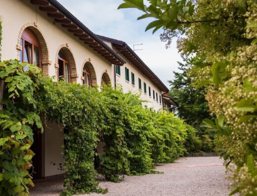 Agriturismo Acero Rosso vista esterna con vegetazione rampicante, ideale per soggiorni rilassanti e vacanze nella natura.